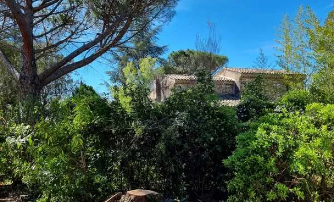 Abattage d'arbres, Roquebrune-sur-Argens, MLM Paysage